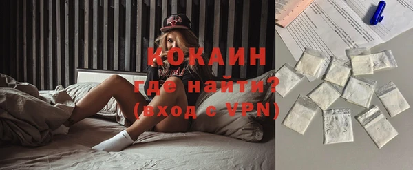 твердый Няндома