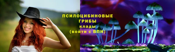 соль ск Новодвинск