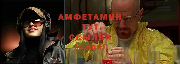 ПСИЛОЦИБИНОВЫЕ ГРИБЫ Новозыбков