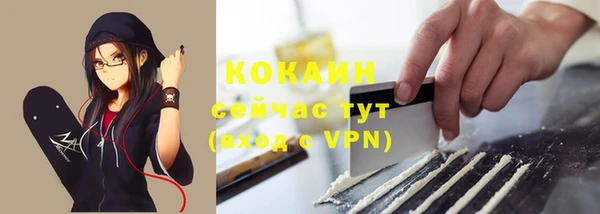ПСИЛОЦИБИНОВЫЕ ГРИБЫ Новозыбков