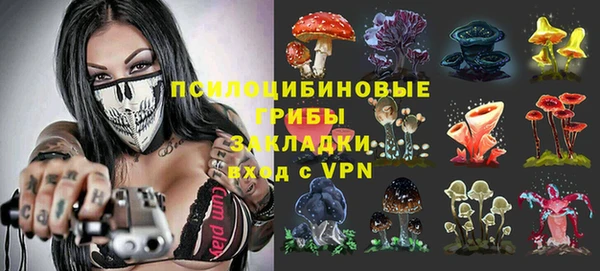 винт Новокубанск