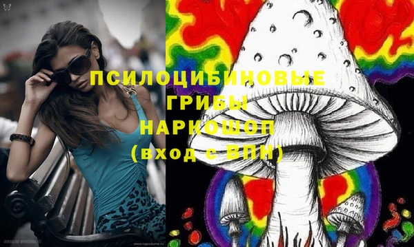 PSILOCYBIN Нязепетровск