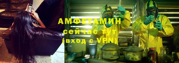 PSILOCYBIN Нязепетровск