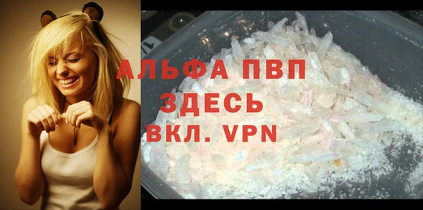 соль ск Новодвинск