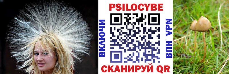 Галлюциногенные грибы Cubensis  omg онион  Коряжма 