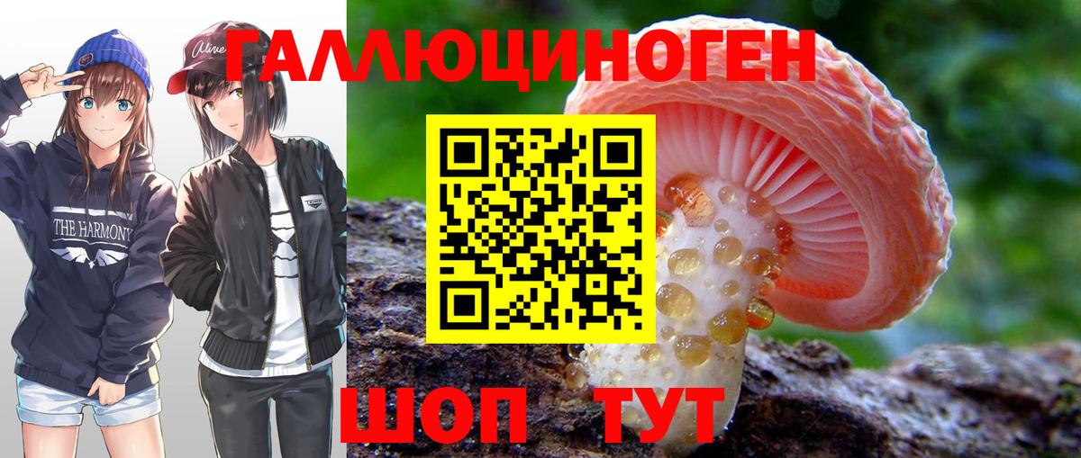 Галлюциногенные грибы Psilocybe  Коряжма 