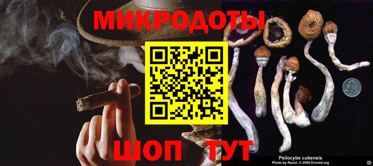 Коряжма  Псилоцибиновые грибы Psilocybe  Вход с VPN  Псилоцибиновые грибы мицелий 