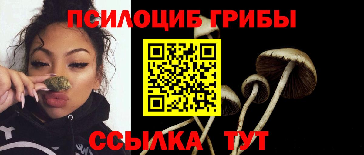 Альфа ПВП  Коряжма  Вход с VPN  COCAIN  Мяу-Мяу  ГЕРОИН  Сколько стоит  Ляпка  Меф  Бошки Шишки  Марки 
