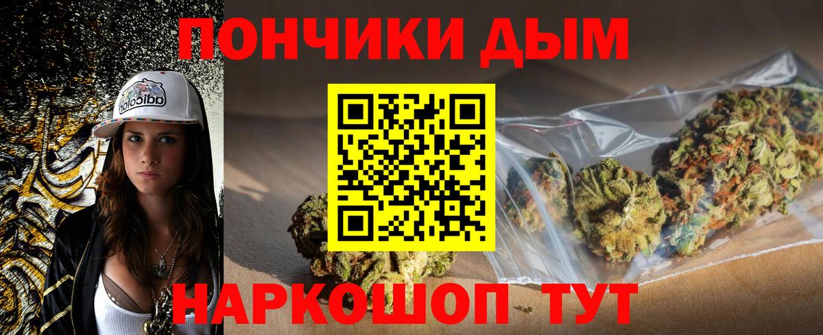 МЕФ Коряжма